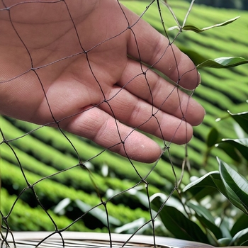 Haozhou zaštitna mreža za voćnjak protiv ptica – za voćnjak i balkon