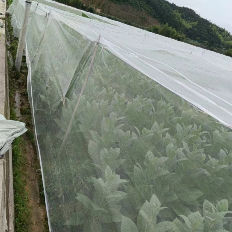 Insekt net za uzgoj, mreža 40/60, polietilen, promjer žice 0,17 mm, otvori 10-100, radni vijek 3-5 godina