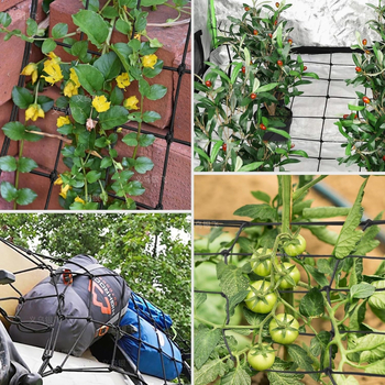 Trellis mreža za Grow Tent — Poliester elastična mreža za podršku biljaka s kukicama, model YF-260104