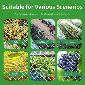Mreža protiv ptica za voćnjak i farmu – veliki skladišni prostor, zaštita trešnje, vrtna barijera, ribnjak