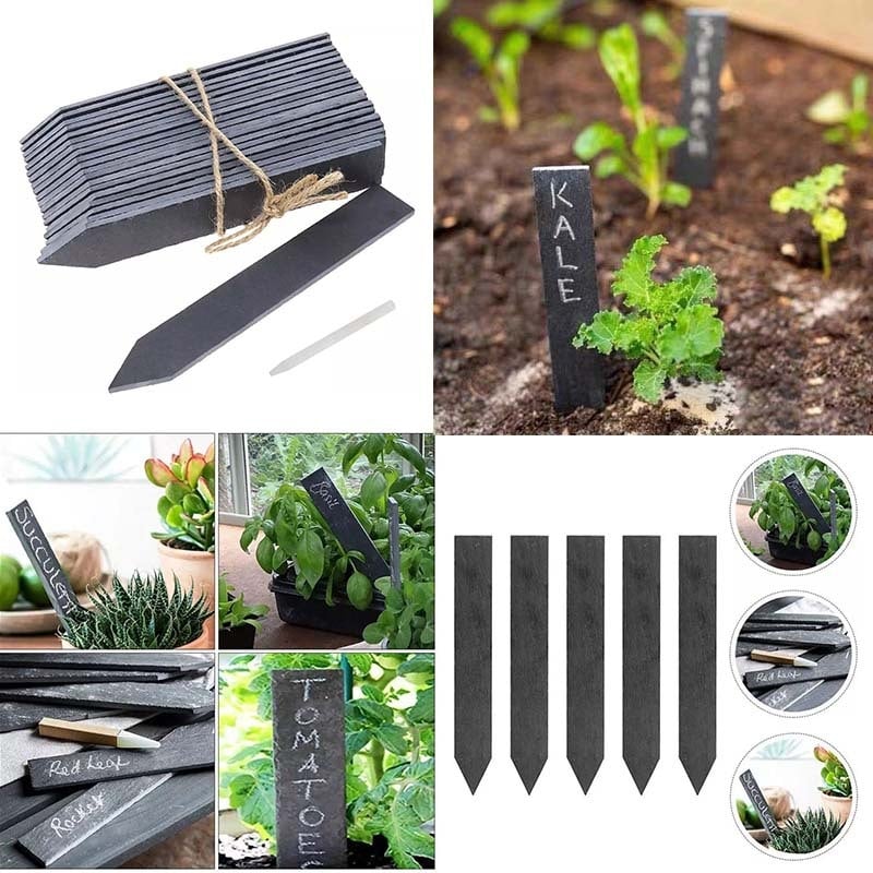 Etikete za biljke od škriljevca za vrt | Materijal: škriljevac | Svrha: cvijeće, biljke, sukulenti | Brand: Ruiyan Stone