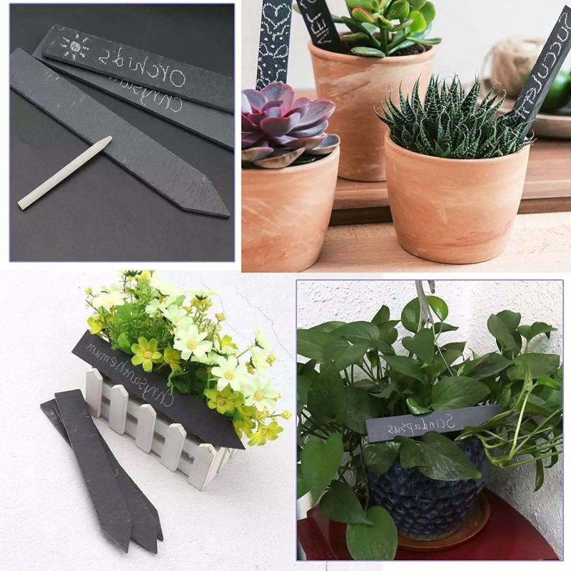 Etikete za biljke od škriljevca za vrt | Materijal: škriljevac | Svrha: cvijeće, biljke, sukulenti | Brand: Ruiyan Stone