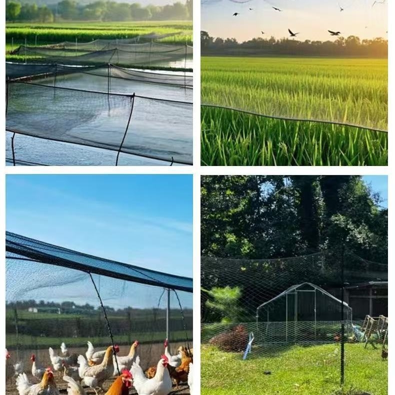 Najlonska mreža protiv ptica za uzgoj peradi, balkonska mreža za mačke, zaštita voćnjaka i ribnjaka