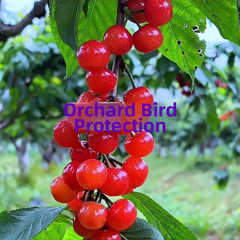 Najlon mreža protiv ptica za vanjsku upotrebu – pogodna za voćnjake, polja, zračne luke i ribnjake