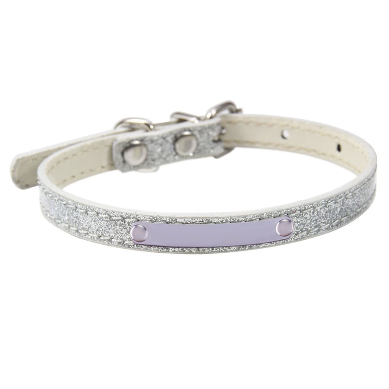 Χαραγμένα κολάρα για κατοικίδια με τις μεγαλύτερες πωλήσεις, κολάρα για γάτες με χάραξη λέιζερ και πούλιες από ανοξείδωτο ατσάλι, κολάρα για σκύλους γενικής χρήσης, χονδρική.