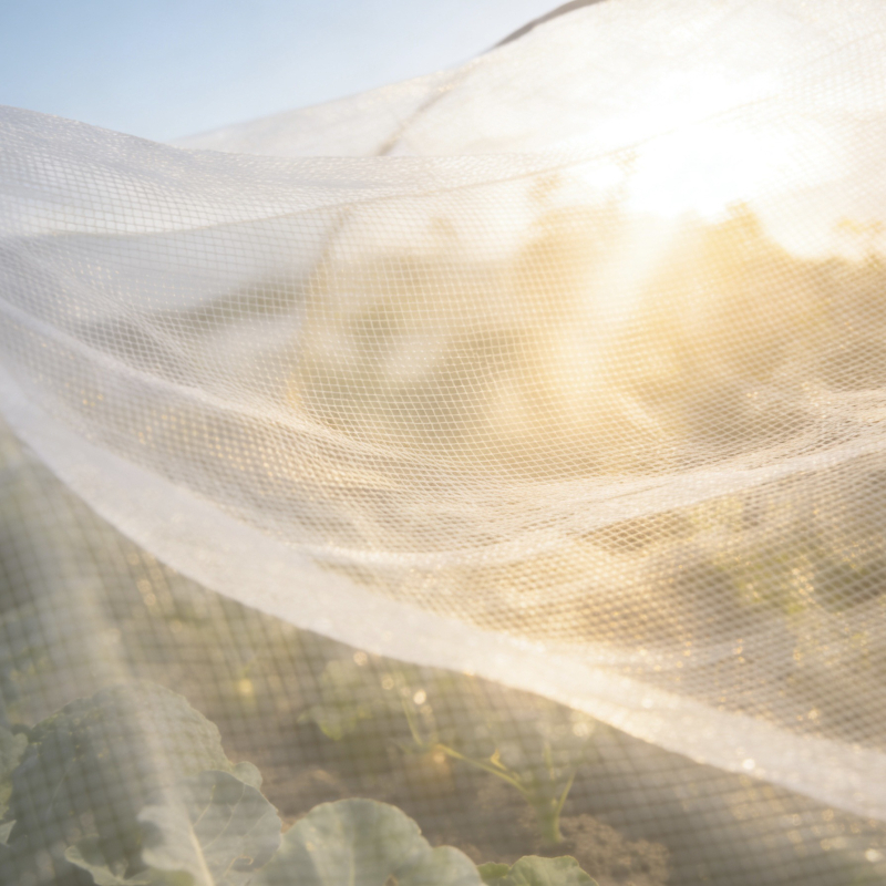 Rovarháló üvegházhoz gyümölcsfákhoz, sűrű légáteresztő háló (Anyag: Polietilén; Szemnyílás: 14–120; Drót átmérő: 10–20 mm; Élettartam: 3–5 év; Termékszám: 01)
