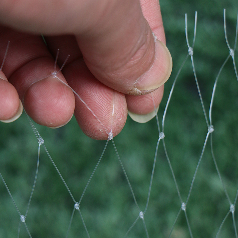 Анти птича мрежа от нейлон за фермерски земи, овощни градини и водоеми