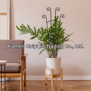 Növénykúszó vaskeret – beltéri és kültéri kertdekoráció Hui Yijia márka