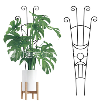 Növénykúszó vaskeret – beltéri és kültéri kertdekoráció Hui Yijia márka