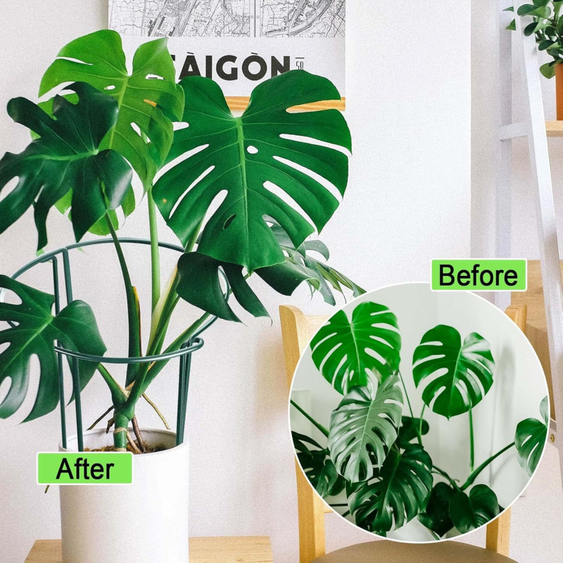 Gui yu Félköríves műanyag bevonatú növénytámasz gyűrű, virágtartó állvány kerthez