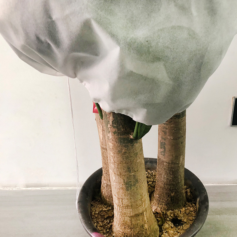 Boxin Sűrített Növények Fagyvédő Takaró – Őszi és téli használatra, nem szőtt anyag, cipzárral és húzózsinóros zárással