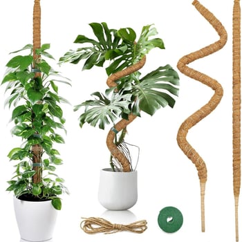 Fleksibilna potpora za biljke u obliku kokosove palme sa mahovinom, za pothos i monstera