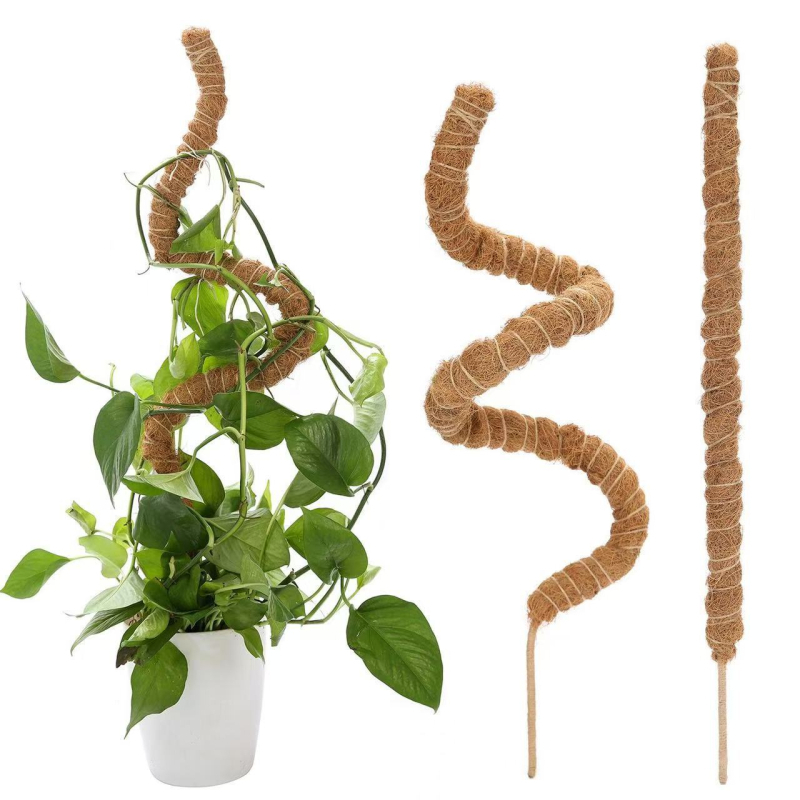 Fleksibilna potpora za biljke u obliku kokosove palme sa mahovinom, za pothos i monstera