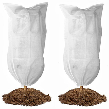 Protecție împotriva înghețului pentru pomi fructiferi și plante de grădină – țesătură nețesută groasă, încălzire și protecție împotriva insectelor