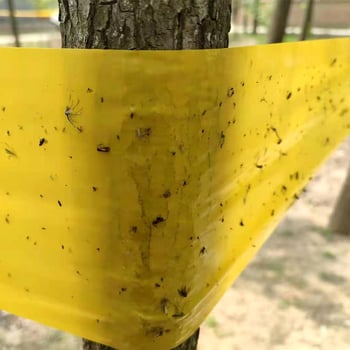 Dvostruka ljepiljiva traka za hvatanje štetnih insekata na voćnim stablima, stakleniku i sadnicama