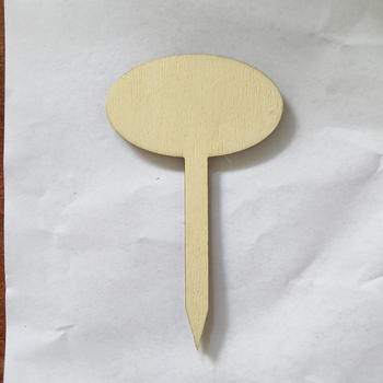 Etichete din lemn pentru plante – scriibile, semnalizare pentru flori și suculente