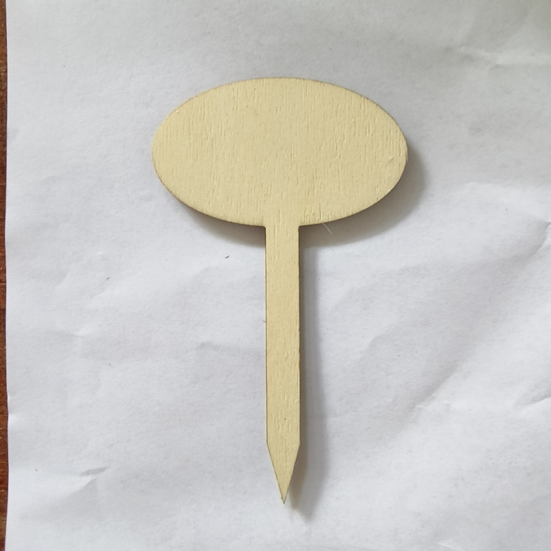 Etichete din lemn pentru plante – scriibile, semnalizare pentru flori și suculente