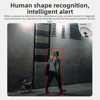 TD-C240N unutarnja IP kamera, 3MP infracrveno noćno snimanje, POE, 4mm objektiv, kućna uporaba