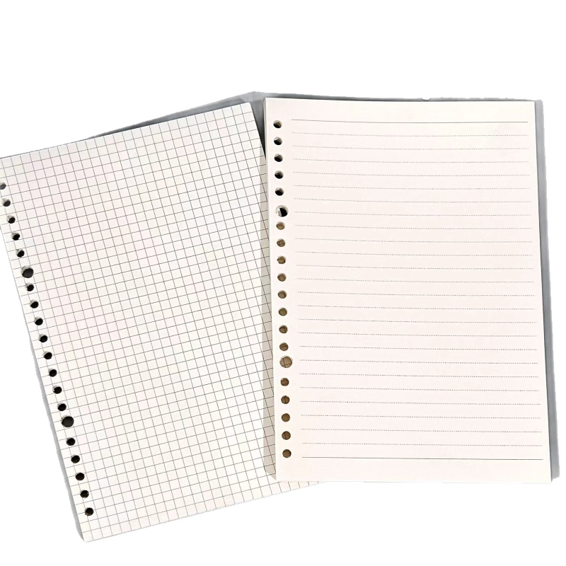 Notes s listovima s slobodno raspoređenim listovima, prozirna PVC mekana korica, 60 listova, papir od drvene celuloze, bilo koji tip rupa, osnovno pakiranje