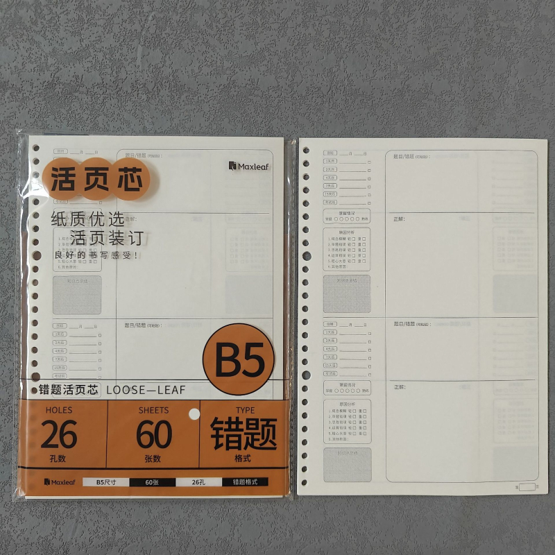 Mary B5 тетрадка с листове за смяна, Dowling хартия, 60 листа, дупки 20/26/6/8/10