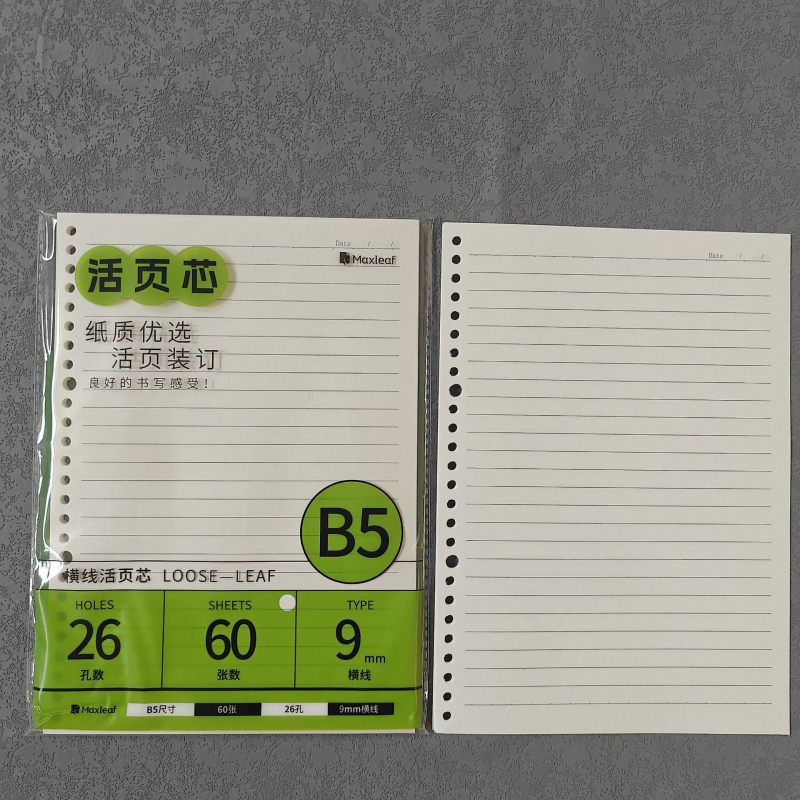 Mary B5 тетрадка с листове за смяна, Dowling хартия, 60 листа, дупки 20/26/6/8/10