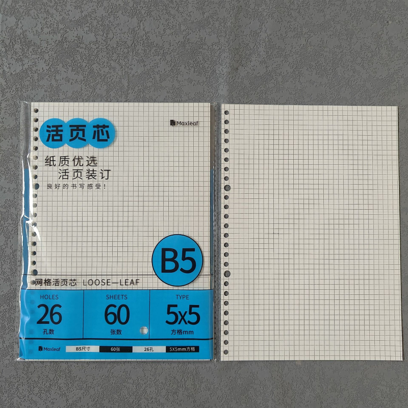 Mary B5 тетрадка с листове за смяна, Dowling хартия, 60 листа, дупки 20/26/6/8/10