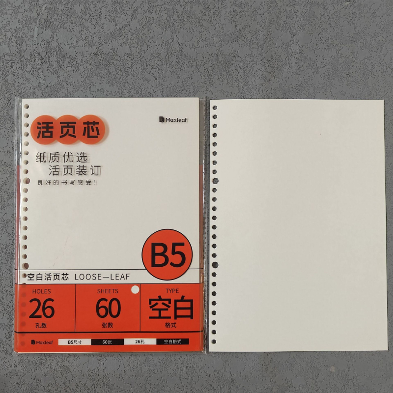 Mary B5 тетрадка с листове за смяна, Dowling хартия, 60 листа, дупки 20/26/6/8/10