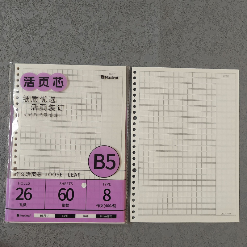 Mary B5 тетрадка с листове за смяна, Dowling хартия, 60 листа, дупки 20/26/6/8/10