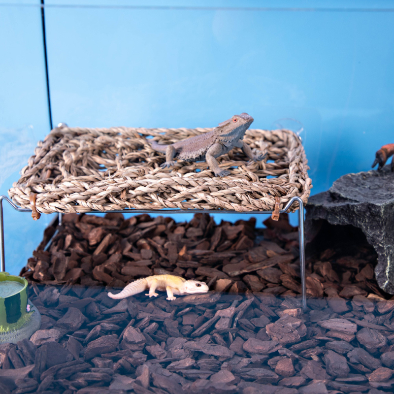 Hi woof meow Terarijski set za gmizavce: prirodno ručno izrađeno slamnato ležište za penjanje, mreža za penjanje i sklonište
