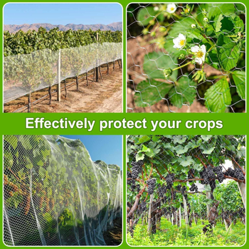 Мрежа против птици за градина, полиетилен, защита на плодове и зеленчуци