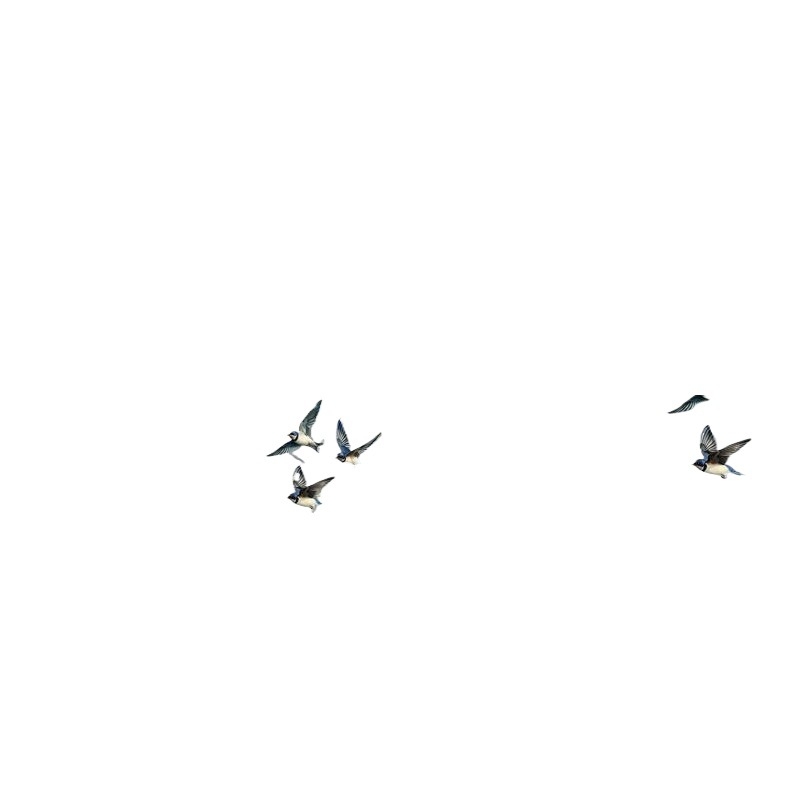 Mreža za staklenik protiv insekata i ptica s gustom mrežom za povrće i voće