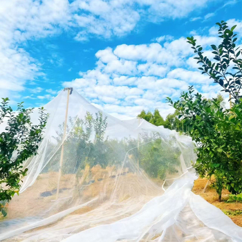 Čvrsta mreža protiv insekata za staklenik, polietilenski materijal, model 002, otvori 14–120, promjer vlakana 10–20, trajanje 3–5 godina