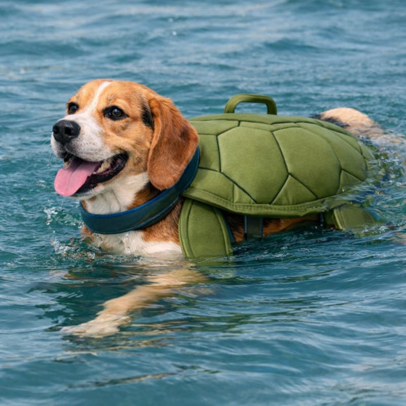 Spasiteljska jakna za kućne ljubimce i plutajući prsten za kornjače – Materijal: Poliester; Stil: Moderni minimalistički stil; Sezone: Ljeto/Proljeće/Jesen; Šifra proizvoda: K052