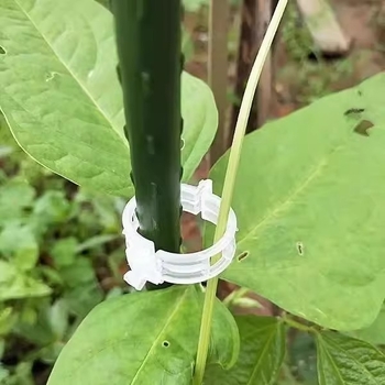 Clip de fixare pentru viță-de-vie și răsaduri — set pentru grădinărit la domiciliu, cu sârmă de legare inclusă, sprijin pentru creșterea plantelor