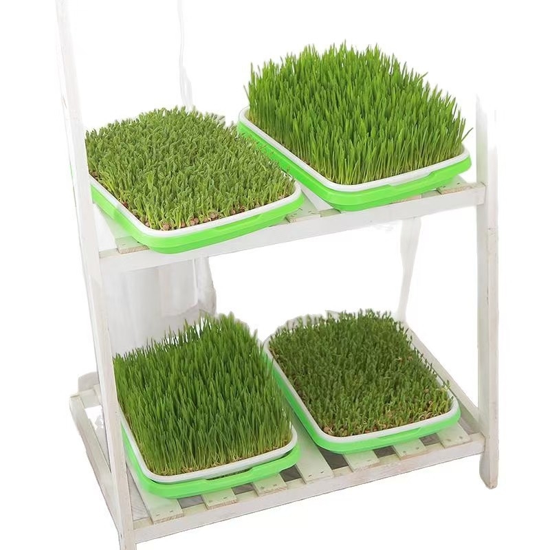 Ghiveci din plastic pentru răsaduri, cu tavă hidroponică cu două niveluri