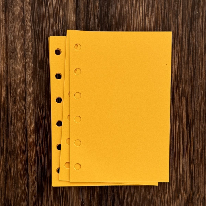 Jadru de înlocuire pentru planificator cu pagini interioare în grilă