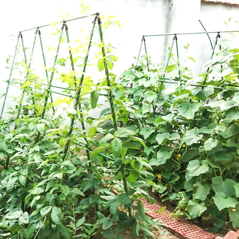 Brice PE Pergolă de cățărare pentru susținerea plantelor – Suport tip A, potrivit pentru castraveți, roșii și fasole