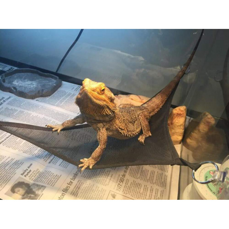 Prozračni hamak s mrežom za penjanje za reptile i mala kućna ljubimca — pogodan za guštere, Broj proizvoda 0350, Marka Chengxin, Izvoz preko granica: Da