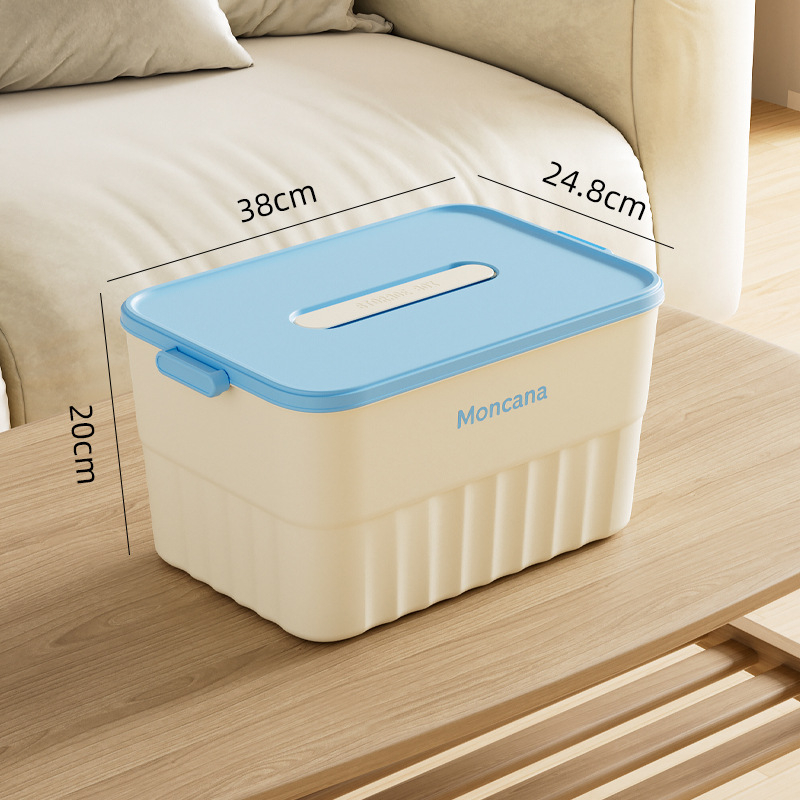 Inscription 18L PP пластмасова кутия за съхранение с капак, ивици модел, ръчна носимост, многофункционална