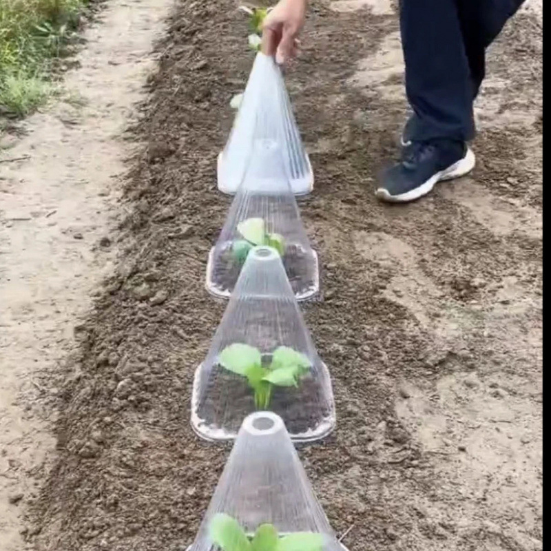 Etichete/inserturi pentru plante din oțel inoxidabil, pentru acoperire a solului — Kip26156515, Nu este importat