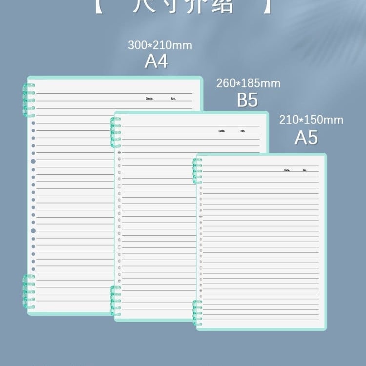 Caiet cu spirală și nucleu demontabil, 60 de pagini, 8 găuri, model 0125