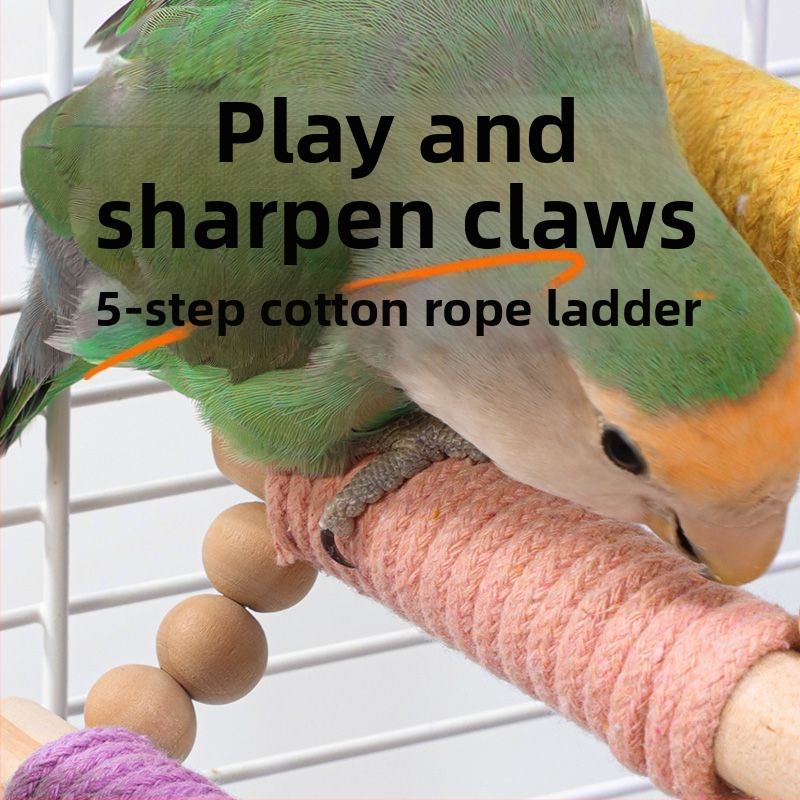 Šplhacia rebrík pre papagája — masívne drevo s konopným povrazom, makaron dizajn — príslušenstvo klietky pre dospelé vtáky
