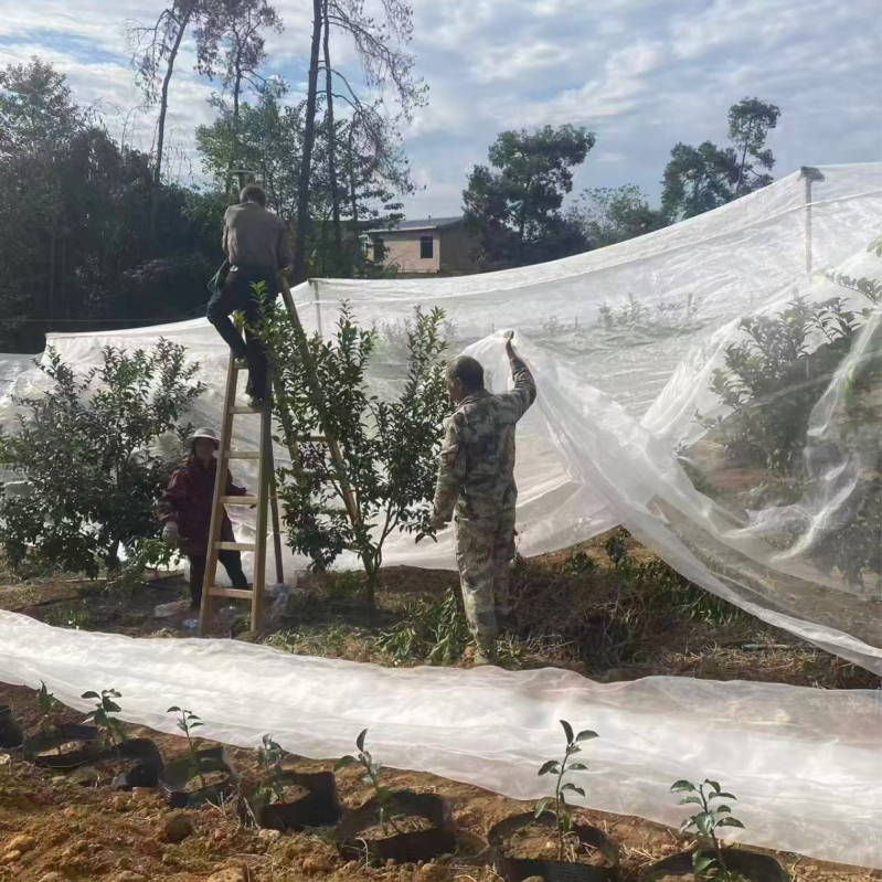 Polietilenska mreža protiv insekata za staklenik (Materijal: polietilen; Veličina mreže: 14–120 mesh; Promjer žice: 10–20; Šifra proizvoda: 001; Radni vijek: 3–5 godina)