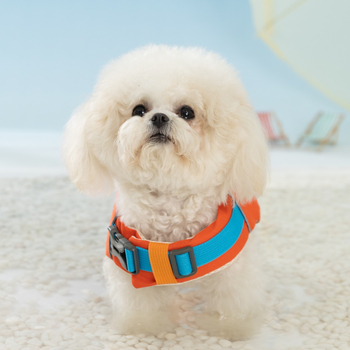 Κολυμβητικό σωσίβιο σκύλων - Πολυεστέρας, Χαλαρό στυλ, μάρκα Dog Star, ρούχα κατοικίδιων