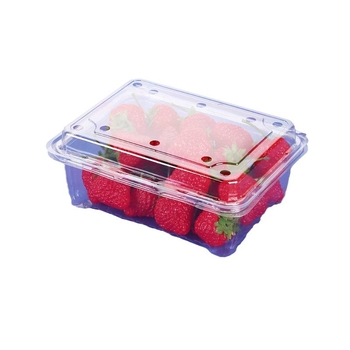 Cutie de unică folosință pentru fructe și legume cu capac, recipient din plastic PE, formă dreptunghiulară, procesare personalizată și imprimare logo