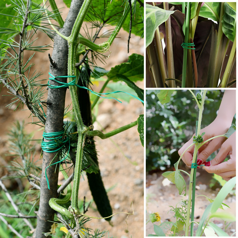 Kućni set za vrt; PVC + žica; Za vezanje i pričvršćivanje; Gardening