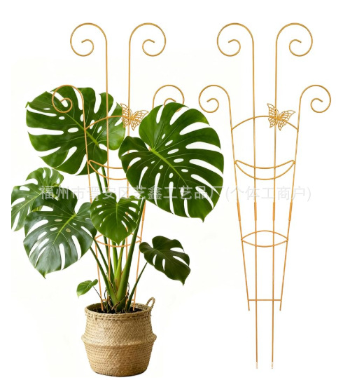 Suport pentru plante din oțel inoxidabil, cadru trellis pentru plante cățătoare, suport pentru ghivece, marca Yixin