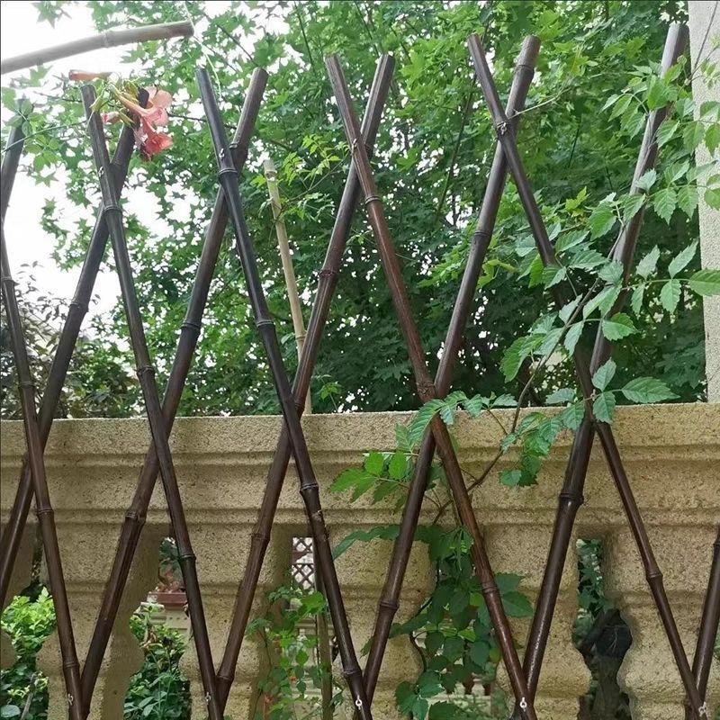 Ploča za lov insekata - Nehrđajući čelik, za postavljanje, Model 1010024908