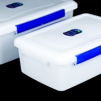 Kutija za skladištenje hrane s poklopcem, prozirna, PP, DeWeichi, artikl 001, model prozirni, podrijetlo Šangaj