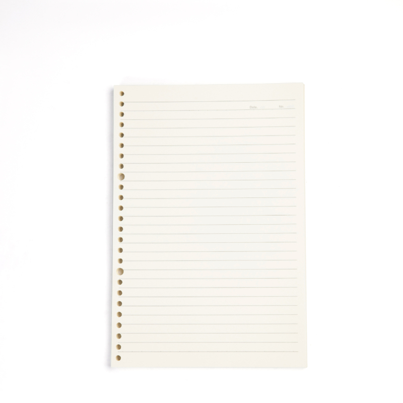 Lucy bilježnica s listovima za razdvajanje i PP koricom, papir 60 g/m², 50–100 stranica, Model 101